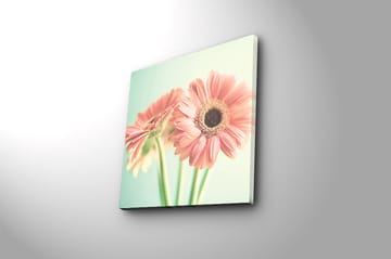 Canvasbilde Floral Flerfarget - 44x54 cm - Interiør - Maleri & posters - Lerretsbilder