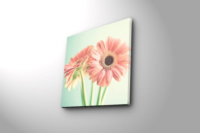Canvasbilde Floral Flerfarget - 44x54 cm - Interiør - Maleri & posters - Lerretsbilder