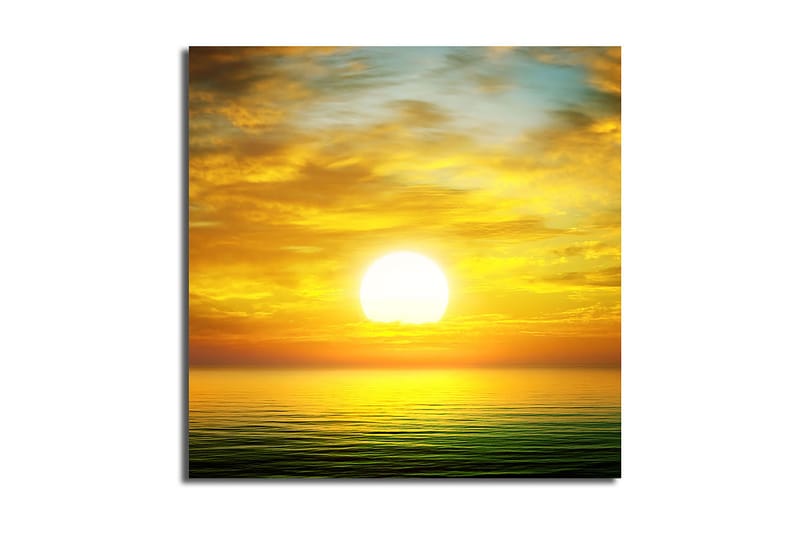 Canvasbilde Floral Flerfarget - 44x54 cm - Interiør - Maleri & posters - Lerretsbilder