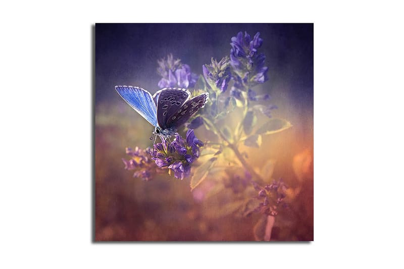 Canvasbilde Floral Flerfarget - 44x54 cm - Interiør - Maleri & posters - Lerretsbilder