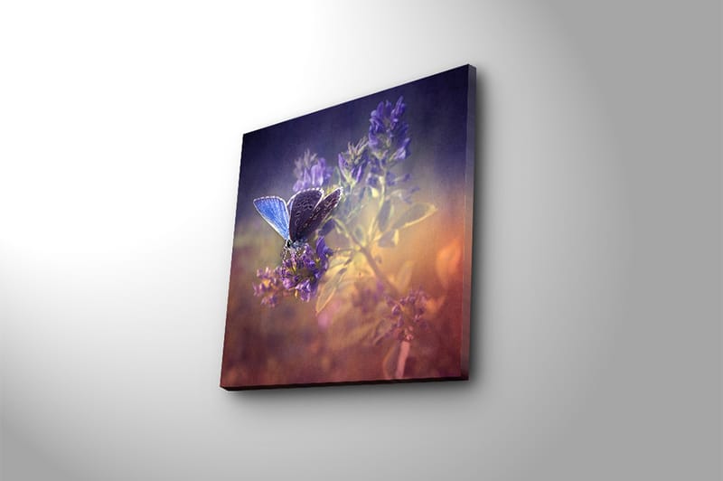 Canvasbilde Floral Flerfarget - 44x54 cm - Interiør - Maleri & posters - Lerretsbilder