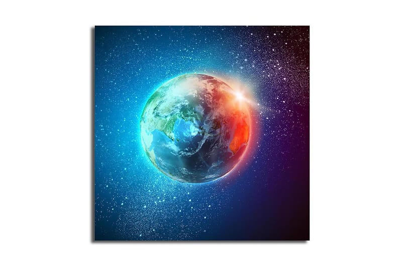 Canvasbilde Floral Flerfarget - 44x54 cm - Interiør - Maleri & posters - Lerretsbilder