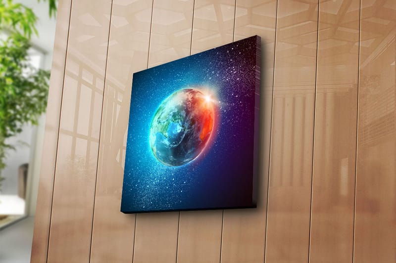 Canvasbilde Floral Flerfarget - 44x54 cm - Interiør - Maleri & posters - Lerretsbilder