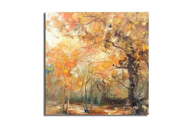 Canvasbilde Floral Flerfarget - 44x54 cm - Interiør - Maleri & posters - Lerretsbilder