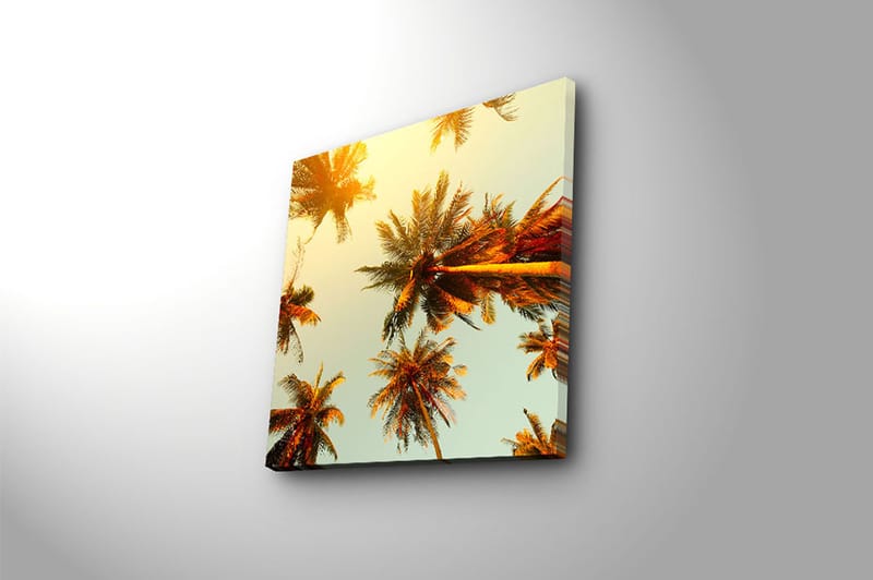Canvasbilde Floral Flerfarget - 44x54 cm - Interiør - Maleri & posters - Lerretsbilder