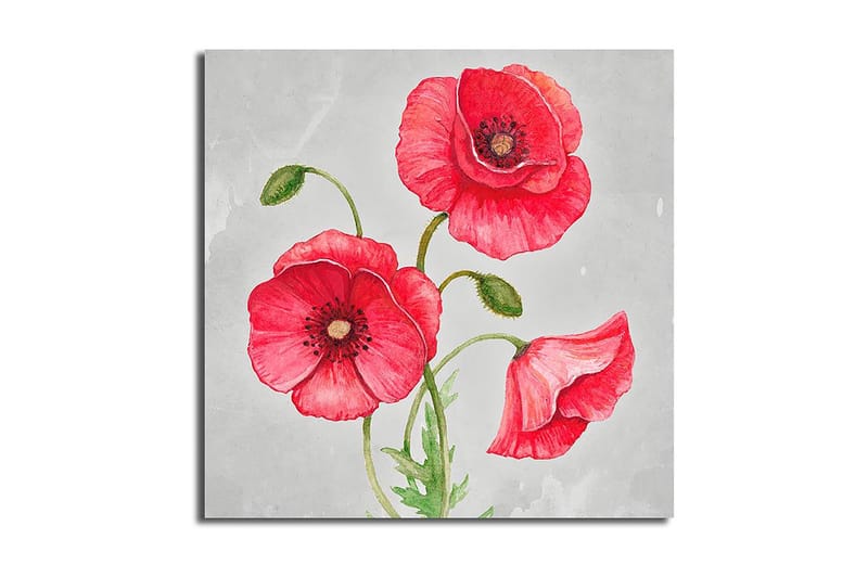 Canvasbilde Floral Flerfarget - 44x54 cm - Interiør - Maleri & posters - Lerretsbilder