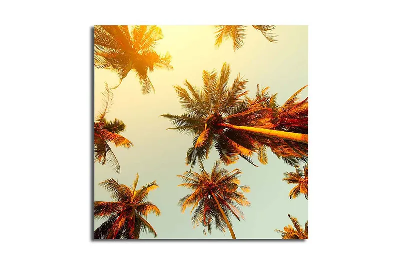 Canvasbilde Floral Flerfarget, 44x54 cm