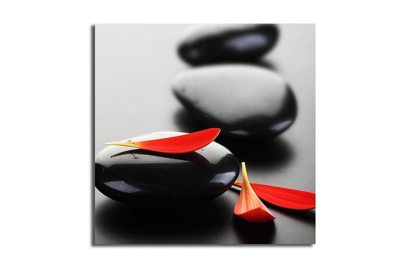 Canvasbilde Floral Flerfarget, 44x54 cm