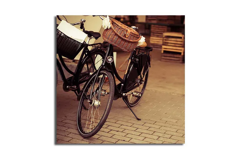 Canvasbilde Floral Flerfarget, 44x54 cm