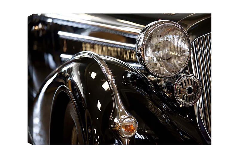 Canvasbilde Floral Flerfarget, 55x07 cm