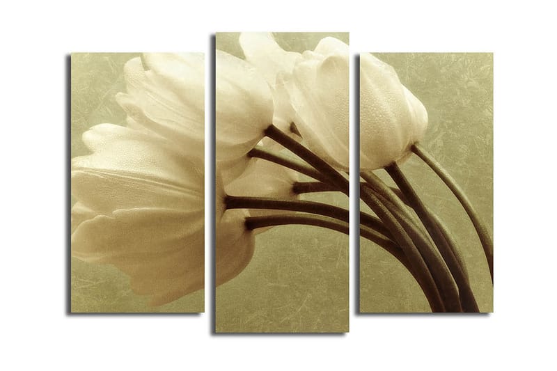 Canvasbilde Kitchen 3-pk Flerfarget - 22x03 cm - Interiør - Maleri & posters - Lerretsbilder