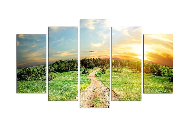 Canvasbilde Nature 5-pk Flerfarget - 22x06 cm - Interiør - Maleri & posters - Lerretsbilder