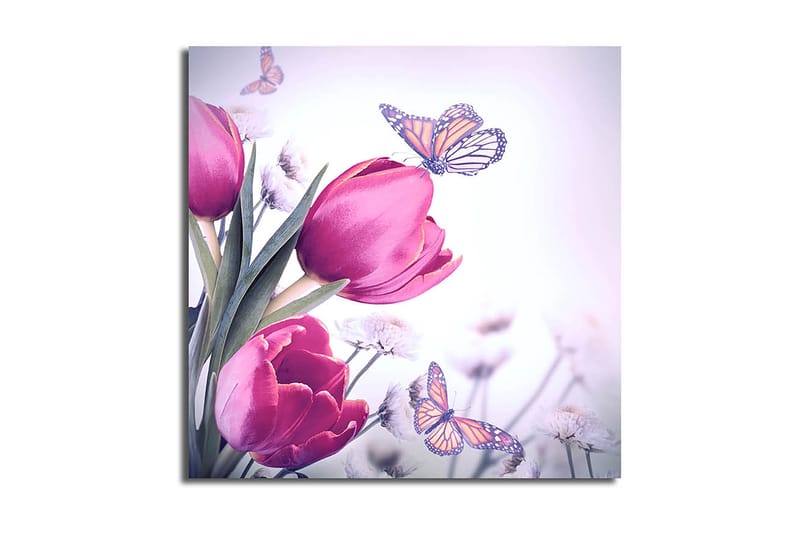 Canvasbilde Nautical Flerfarget - 44x54 cm - Interiør - Maleri & posters - Lerretsbilder