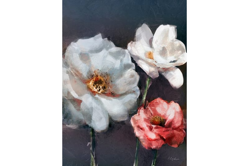 Canvasbilde Red Rose, 66x08 cm