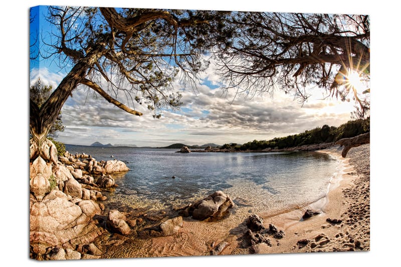 Canvasbilde Sardinia - Interiør - Maleri & posters - Lerretsbilder