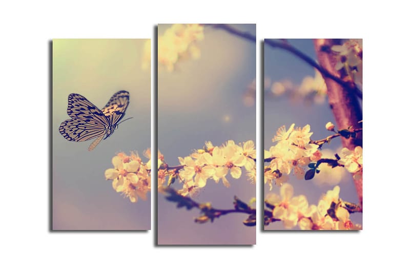 Canvasbilde Scenic 3-pk flerfarget - 22x03 cm - Interiør - Maleri & posters - Lerretsbilder
