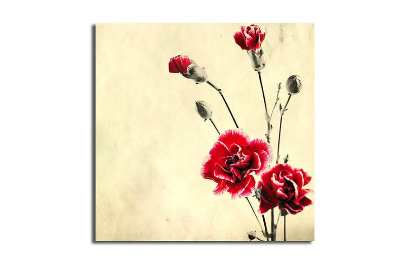 Canvasbilde Scenic Flerfarget - 44x54 cm - Interiør - Maleri & posters - Lerretsbilder