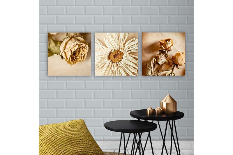 Canvasbilde VP Italy 3-pk Flerfarget - 33x03 cm - Interiør - Maleri & posters - Lerretsbilder