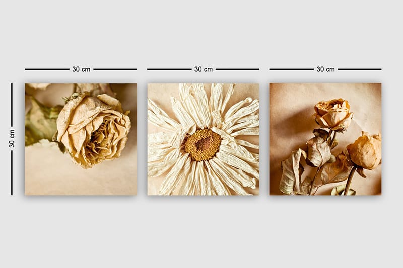 Canvasbilde VP Italy 3-pk Flerfarget - 33x03 cm - Interiør - Maleri & posters - Lerretsbilder