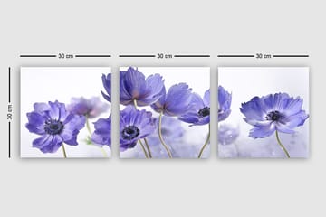 Canvasbilde VP Italy 3-pk Flerfarget - 33x03 cm - Interiør - Maleri & posters - Lerretsbilder