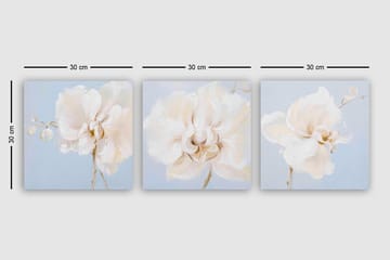 Canvasbilde VP Italy 3-pk Flerfarget - 33x03 cm - Interiør - Maleri & posters - Lerretsbilder