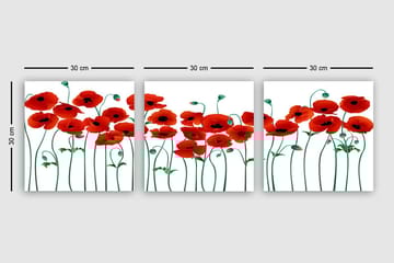 Canvasbilde VP Italy 3-pk Flerfarget - 33x03 cm - Interiør - Maleri & posters - Lerretsbilder