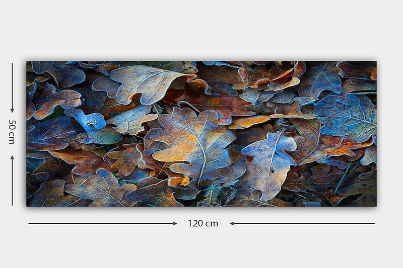 Canvasbilde YTY Abstract & Fractals Flerfarget - 120x50 cm - Interiør - Maleri & posters - Lerretsbilder