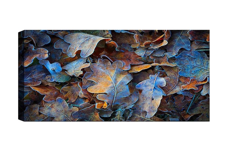 Canvasbilde YTY Abstract & Fractals Flerfarget, 120x50 cm