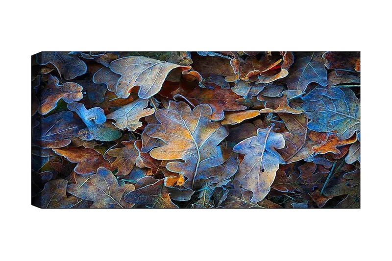 Canvasbilde YTY Abstract & Fractals Flerfarget, 120x50 cm