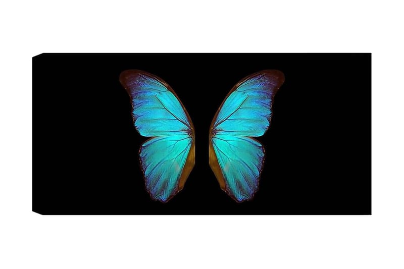 Canvasbilde YTY Animals Flerfarget, 120x50 cm