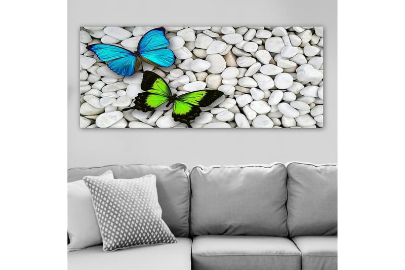 Canvasbilde YTY Animals Flerfarget - 120x50 cm - Interiør - Maleri & posters - Lerretsbilder