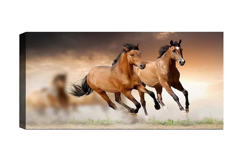 Canvasbilde YTY Animals Flerfarget - 120x50 cm - Interiør - Maleri & posters - Lerretsbilder