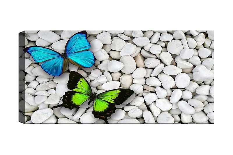 Canvasbilde YTY Animals Flerfarget - 120x50 cm - Interiør - Maleri & posters - Lerretsbilder