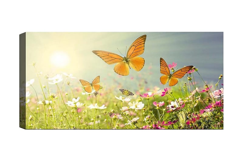 Canvasbilde YTY Animals Flerfarget - 120x50 cm - Interiør - Maleri & posters - Lerretsbilder