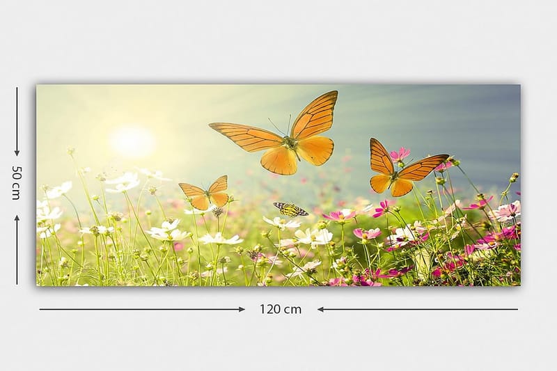 Canvasbilde YTY Animals Flerfarget - 120x50 cm - Interiør - Maleri & posters - Lerretsbilder