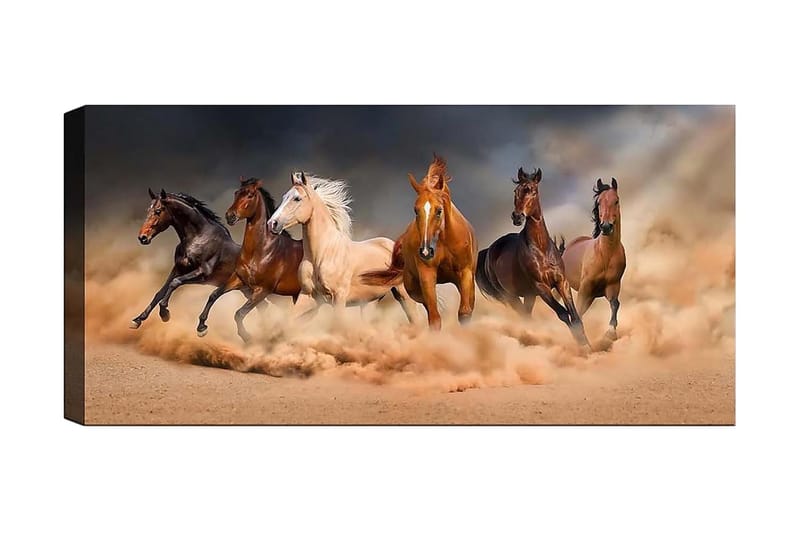 Canvasbilde YTY Animals Flerfarget - 120x50 cm - Interiør - Maleri & posters - Lerretsbilder