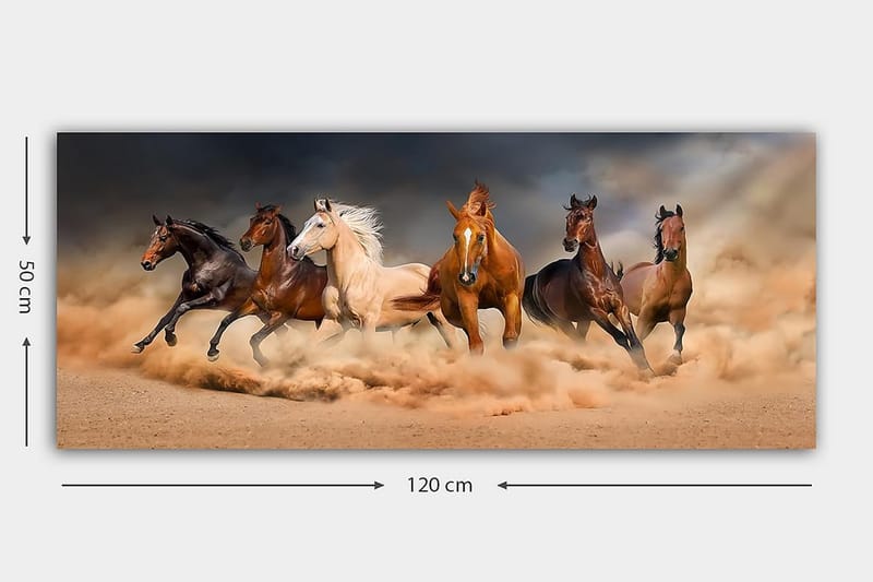 Canvasbilde YTY Animals Flerfarget - 120x50 cm - Interiør - Maleri & posters - Lerretsbilder