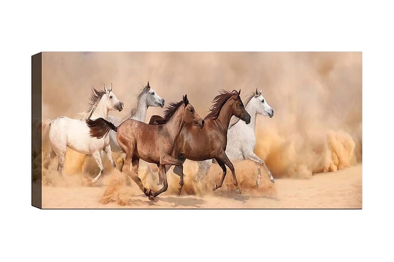 Canvasbilde YTY Animals Flerfarget - 120x50 cm - Interiør - Maleri & posters - Lerretsbilder