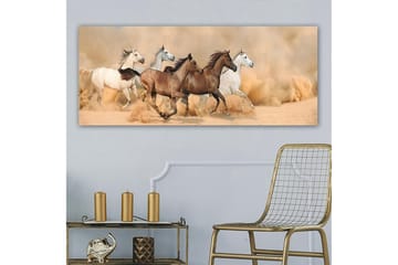 Canvasbilde YTY Animals Flerfarget - 120x50 cm - Interiør - Maleri & posters - Lerretsbilder