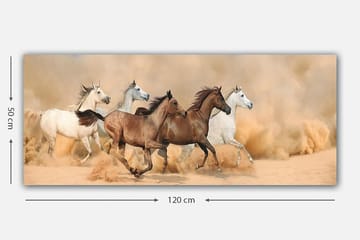 Canvasbilde YTY Animals Flerfarget - 120x50 cm - Interiør - Maleri & posters - Lerretsbilder