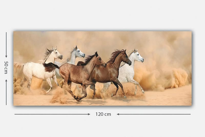 Canvasbilde YTY Animals Flerfarget - 120x50 cm - Interiør - Maleri & posters - Lerretsbilder