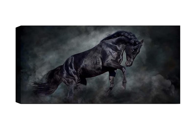 Canvasbilde YTY Animals Flerfarget - 120x50 cm - Interiør - Maleri & posters - Lerretsbilder