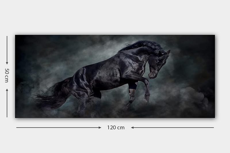 Canvasbilde YTY Animals Flerfarget - 120x50 cm - Interiør - Maleri & posters - Lerretsbilder