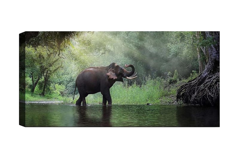 Canvasbilde YTY Animals Flerfarget - 120x50 cm - Interiør - Maleri & posters - Lerretsbilder