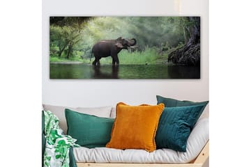 Canvasbilde YTY Animals Flerfarget - 120x50 cm - Interiør - Maleri & posters - Lerretsbilder