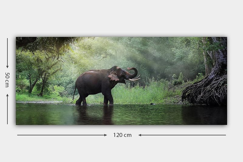 Canvasbilde YTY Animals Flerfarget - 120x50 cm - Interiør - Maleri & posters - Lerretsbilder