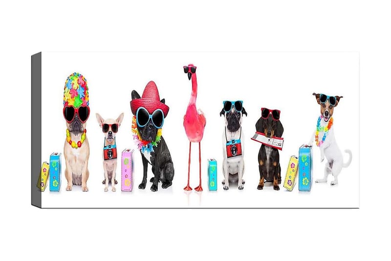 Canvasbilde YTY Animals Flerfarget - 120x50 cm - Interiør - Maleri & posters - Lerretsbilder