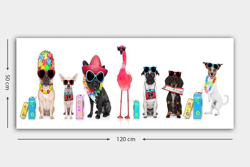 Canvasbilde YTY Animals Flerfarget - 120x50 cm - Interiør - Maleri & posters - Lerretsbilder