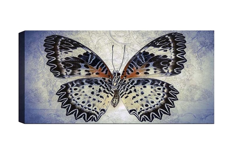Canvasbilde YTY Animals Flerfarget - 120x50 cm - Interiør - Maleri & posters - Lerretsbilder