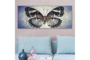 Canvasbilde YTY Animals Flerfarget - 120x50 cm - Interiør - Maleri & posters - Lerretsbilder